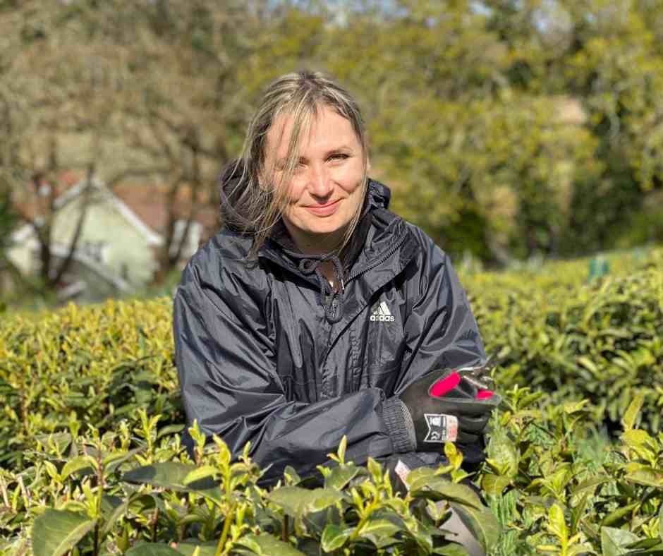 Jersey Fine Tea's assistant tea maker published in World Tea News